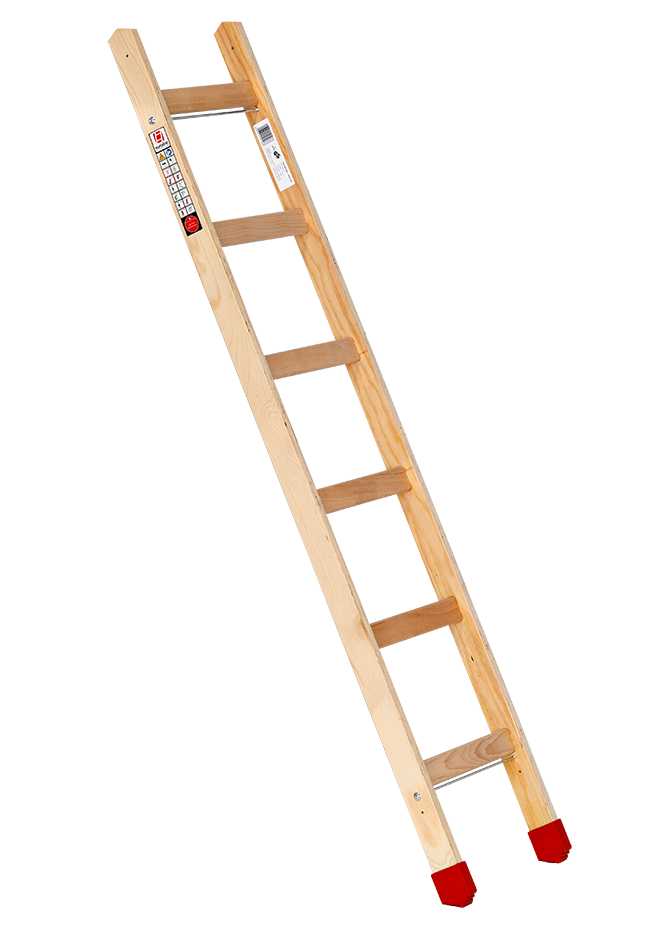 euroline Holz - Sprossenanlegeleiter 10101 - Topleiter