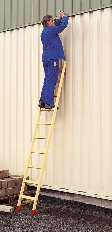 euroline Holz - Sprossenanlegeleiter 10101 - Topleiter